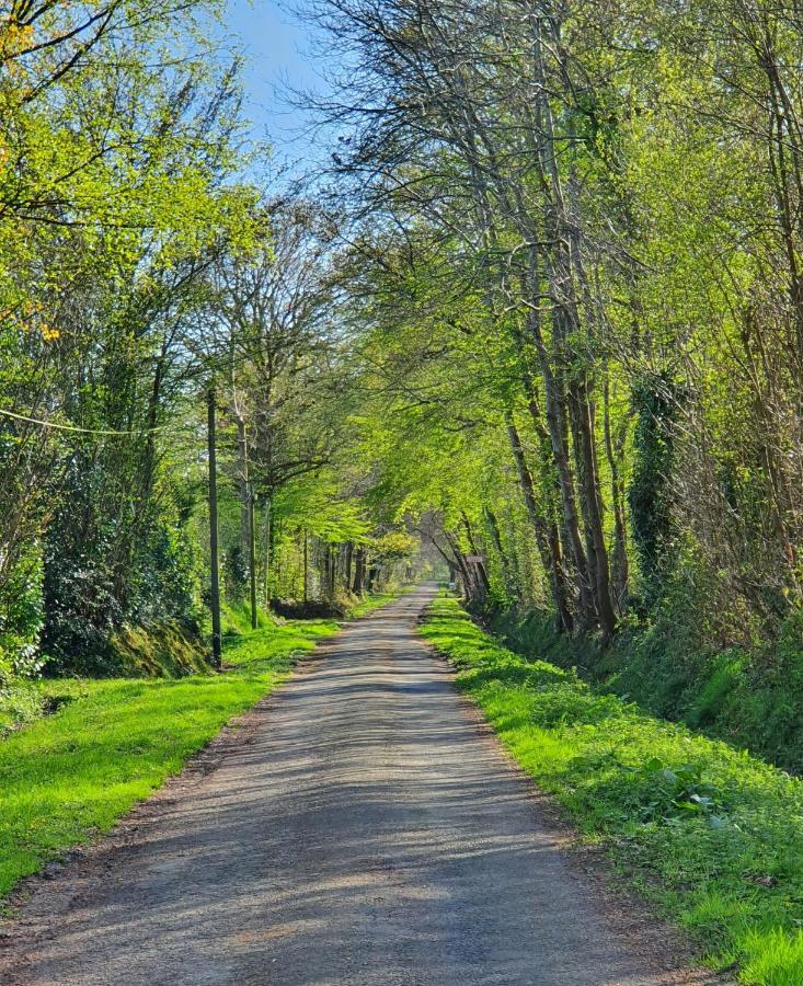 לינה וארוחת בוקר Saint-Gâtien-des-Bois Le Clos Joly 14 מראה חיצוני תמונה